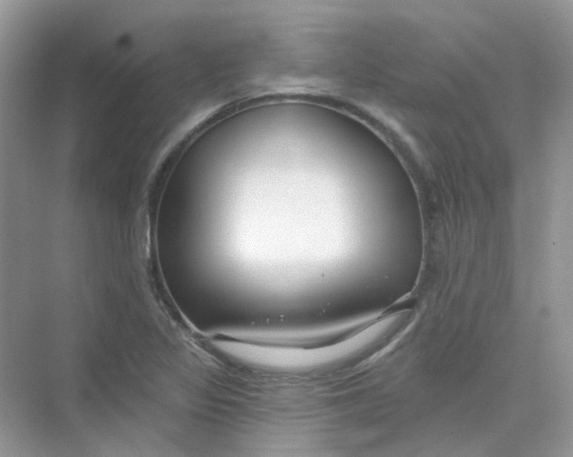 X0000075341317200609292024