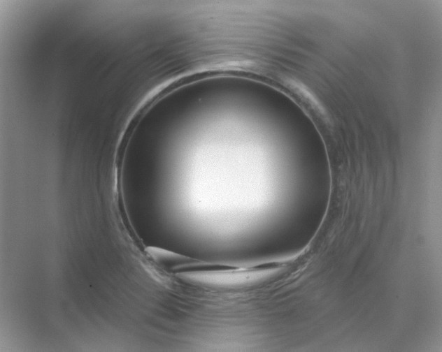 X0000075341324200609292024