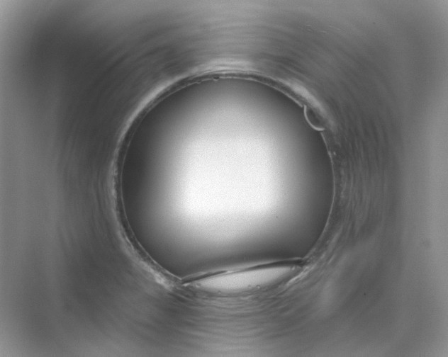 X0000075341325200609292024
