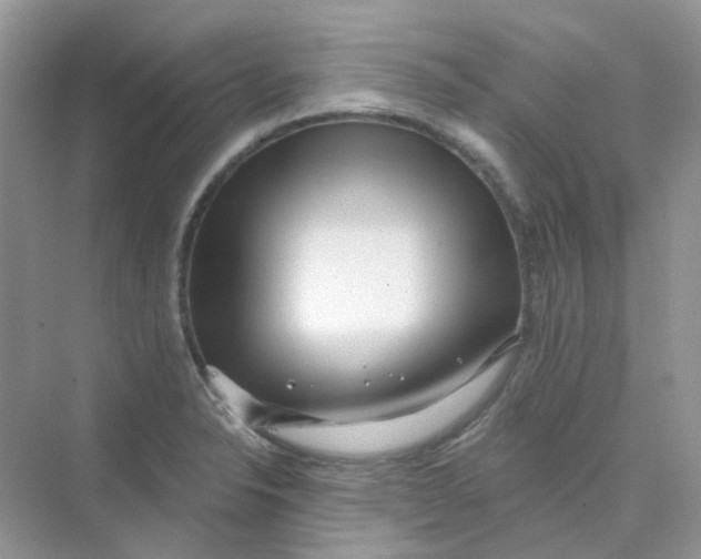 X0000075341326200609292024
