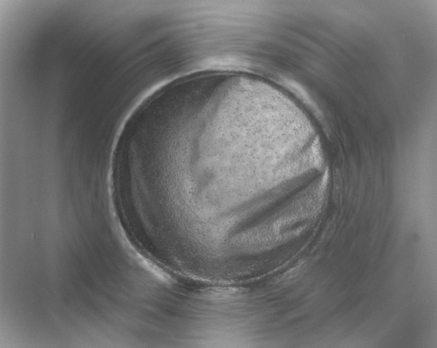 X0000075341331200609292024