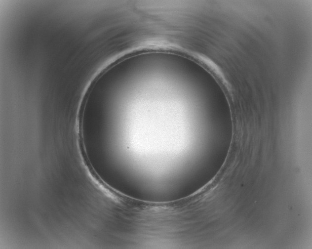 X0000075341335200609292025
