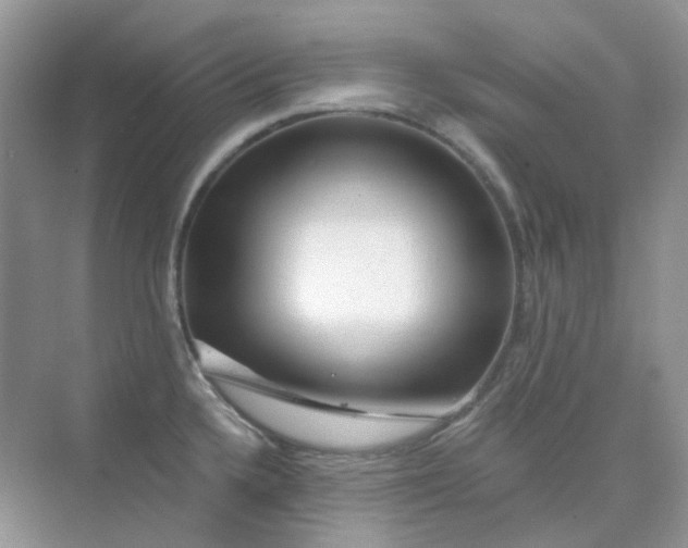X0000075341336200609292025