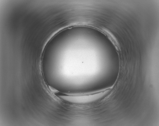 X0000075341340200609292025