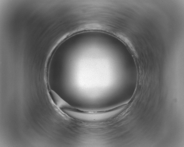 X0000075341342200609292025