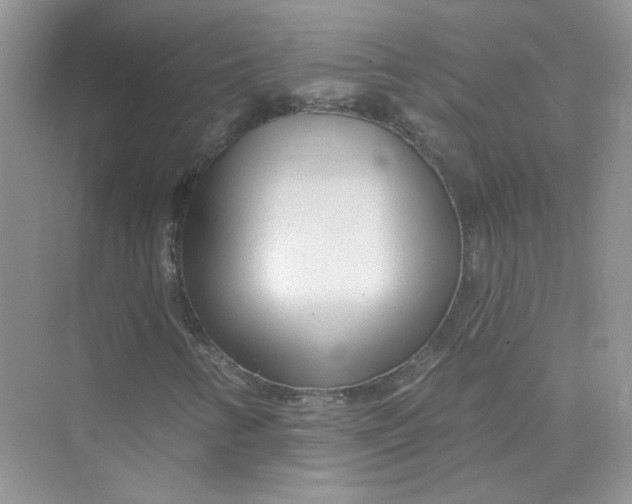 X0000075341346200609292024