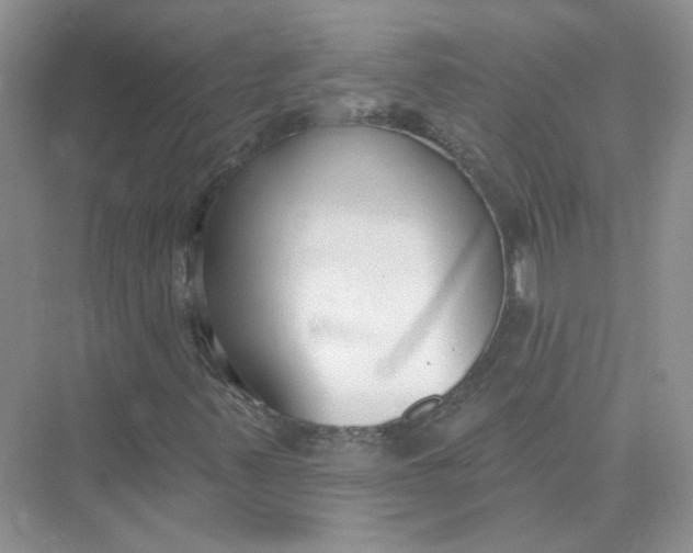 X0000075341347200609292024