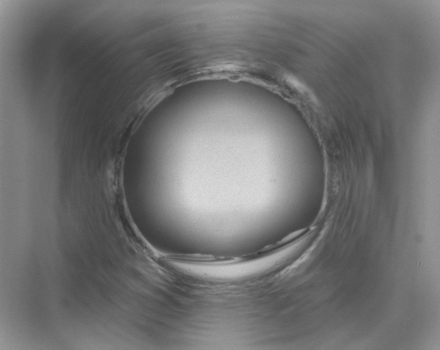 X0000075341353200609292024