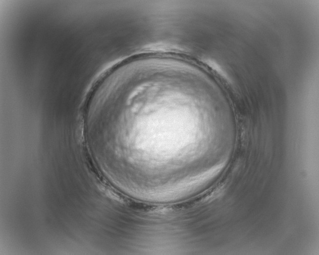 X0000075341358200609292024