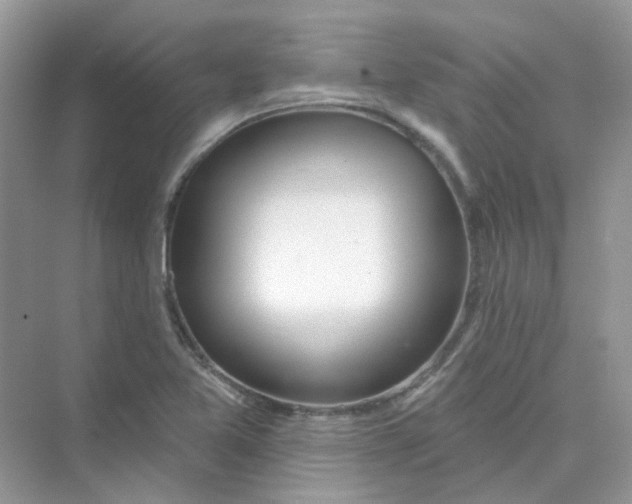 X0000075341365200609292024