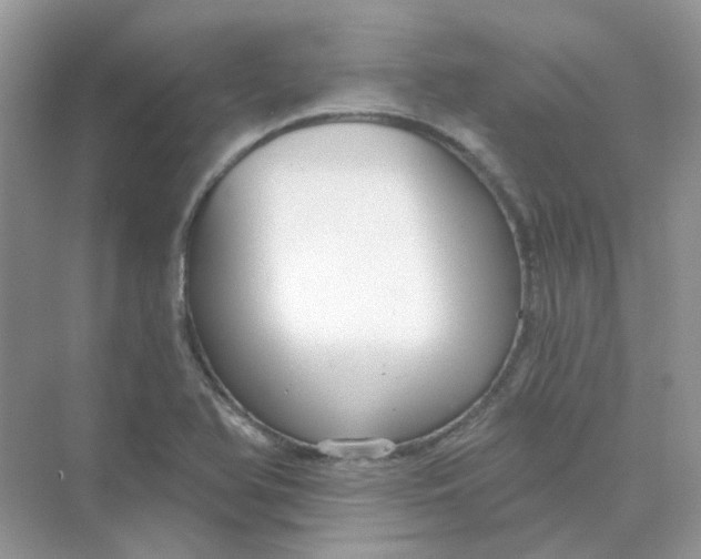 X0000075341366200609292024