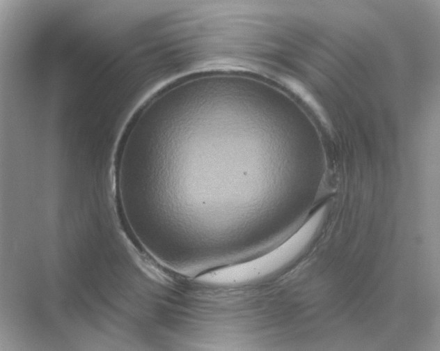 X0000075341372200609292023