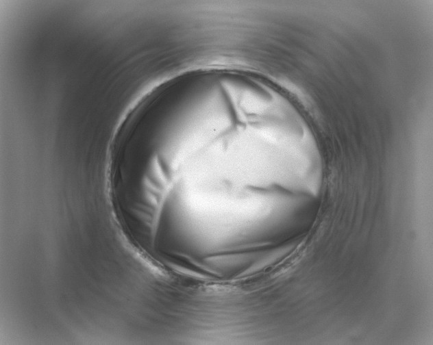 X0000075341374200609292023
