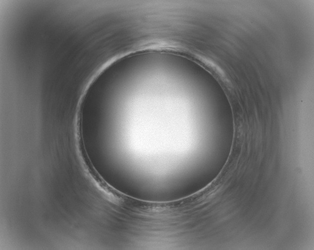 X0000075341375200609292023