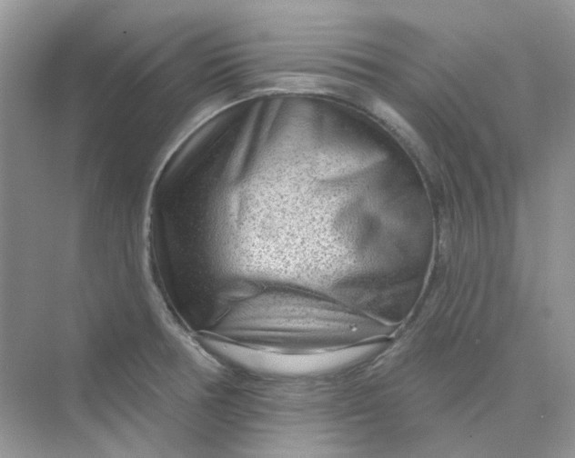X0000075341378200609292023