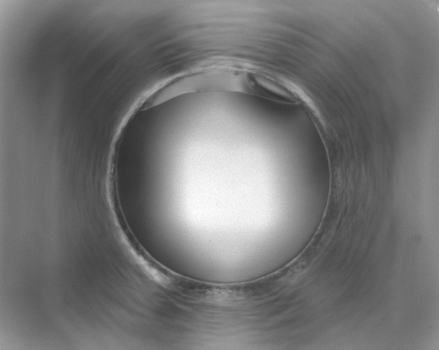 X0000075341379200609292023