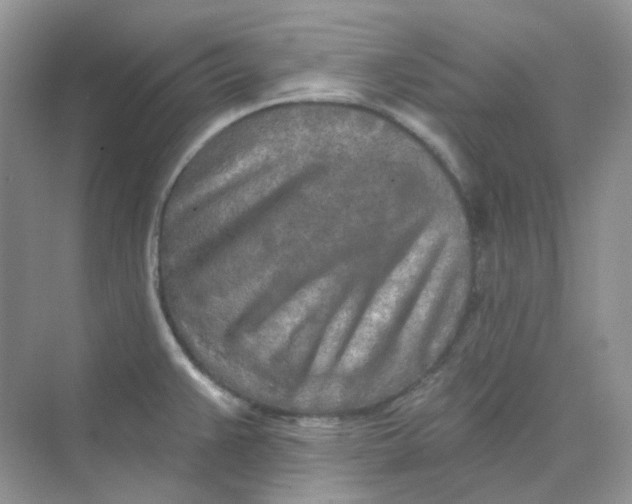 X0000075341383200609292023