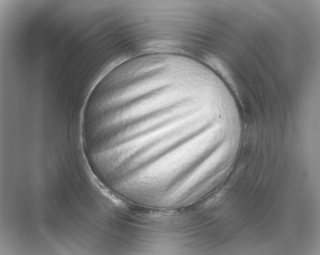 X0000075341386200609292023