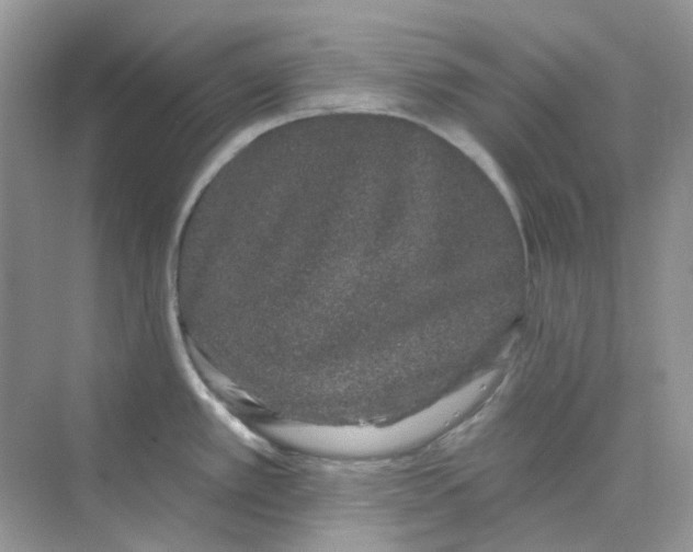 X0000075341389200609292023