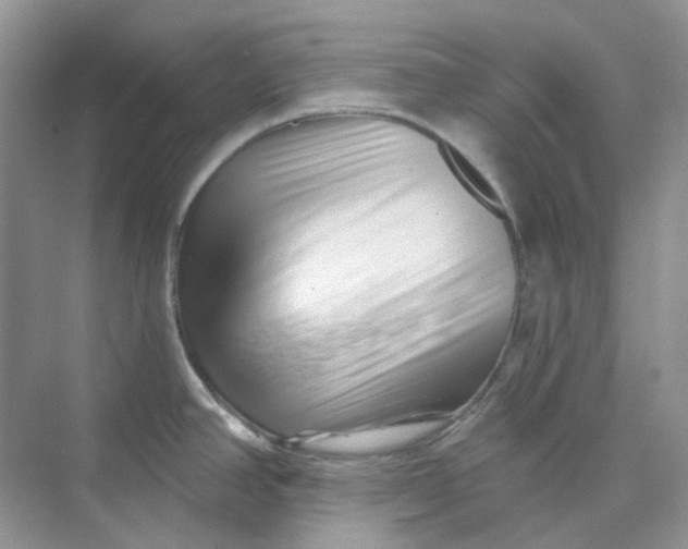 X0000075341390200609292023
