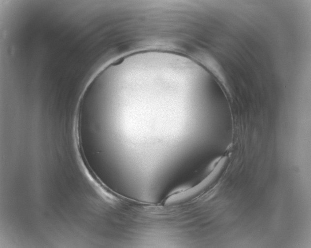 X0000075341391200609292023