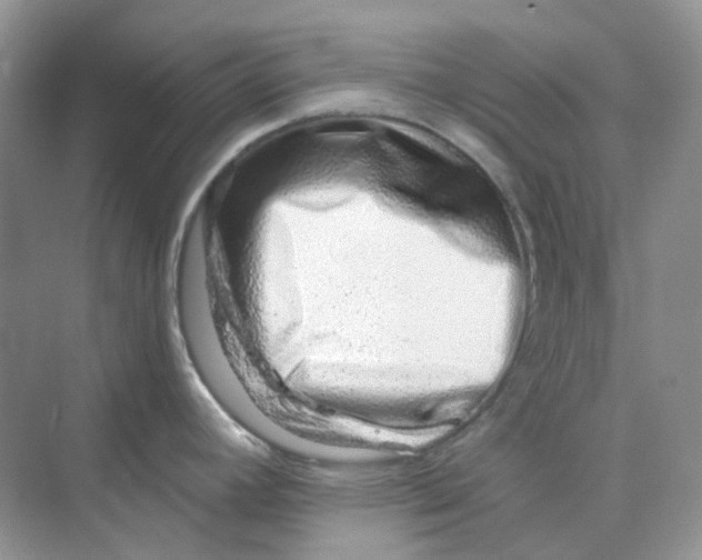 X0000075341392200609292023