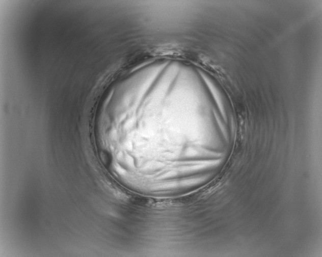 X0000075341393200609292022