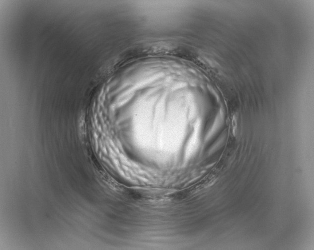 X0000075341395200609292022