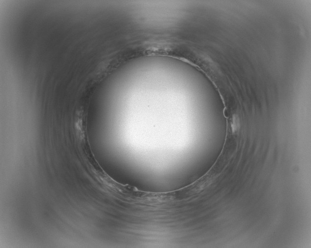 X0000075341396200609292022