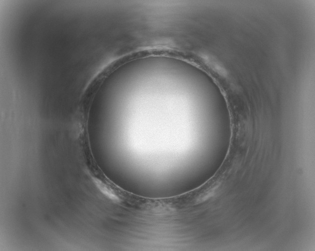 X0000075341400200609292022
