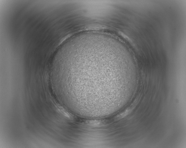 X0000075341401200609292022