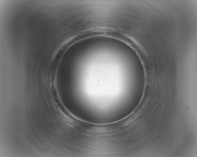 X0000075341402200609292022