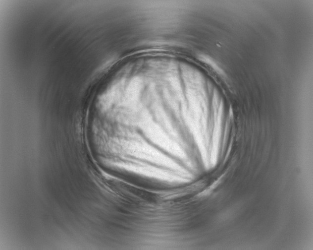 X0000075341403200609292022