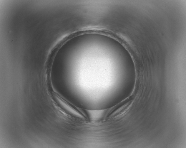 X0000075341406200609292022