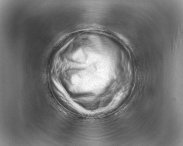 X0000075341407200609292022