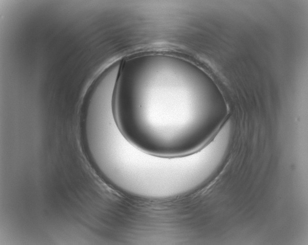 X0000075341410200609292023