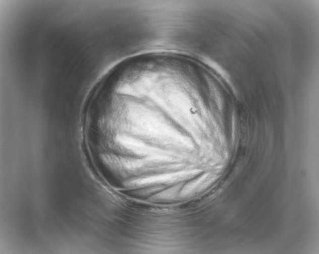 X0000075341415200609292023