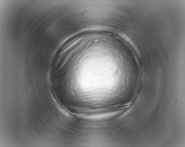 X0000075341417200609292023