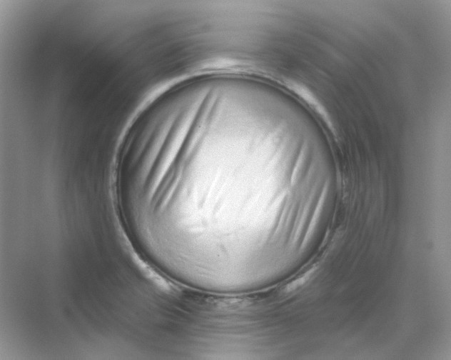 X0000075341421200609292023