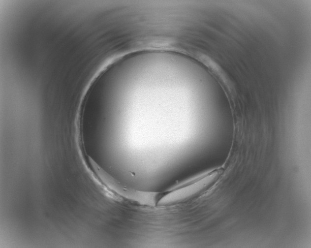 X0000075341432200609292023