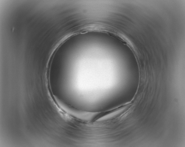 X0000075341434200609292023
