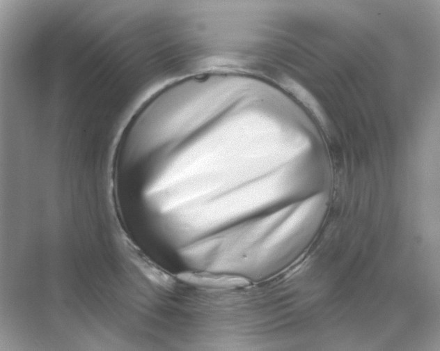 X0000075341435200609292023