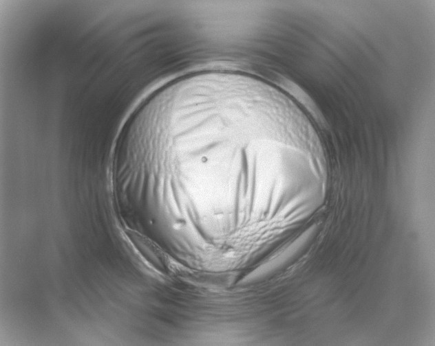 X0000075341436200609292023