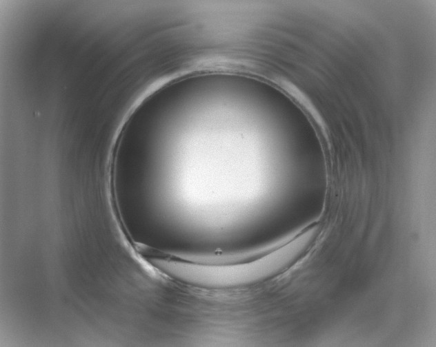 X0000075341437200609292023
