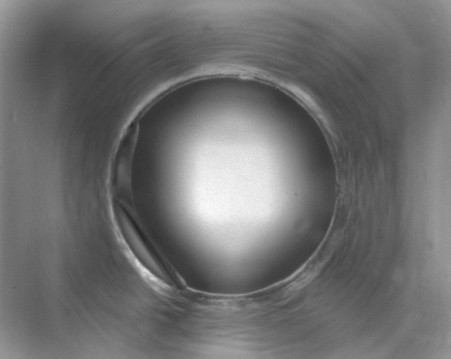 X0000075341438200609292023