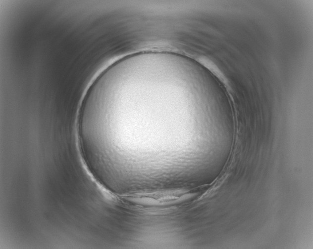 X0000075341440200609292023