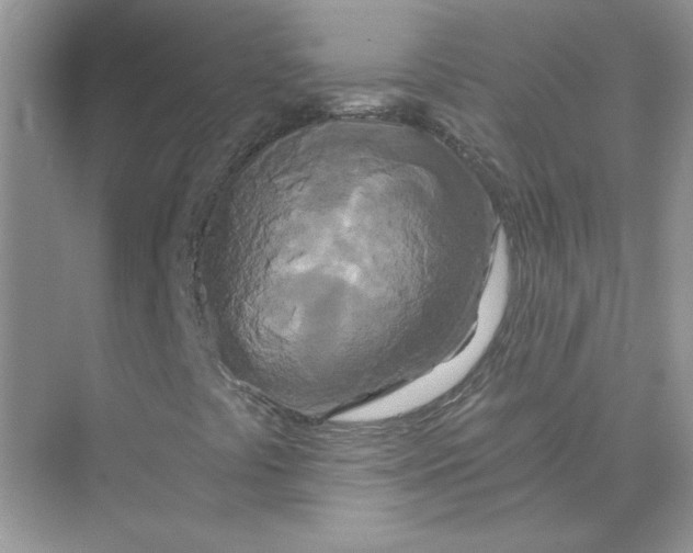 X0000075341441200609292022