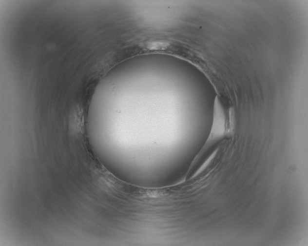 X0000075341443200609292022