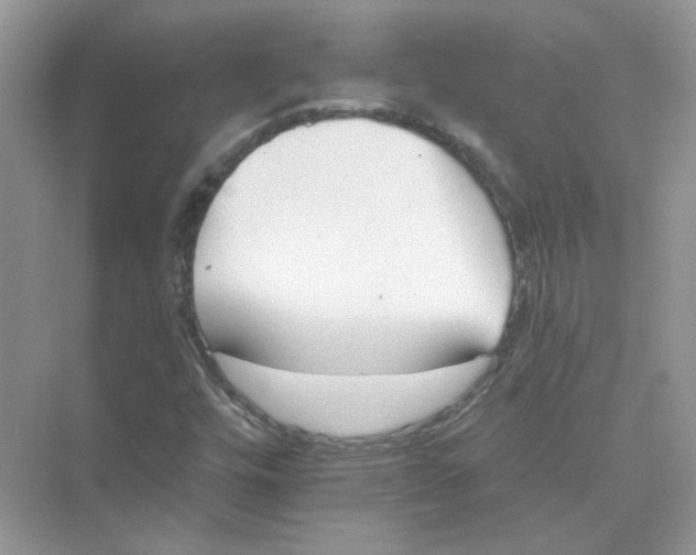 X0000075341448200609292022
