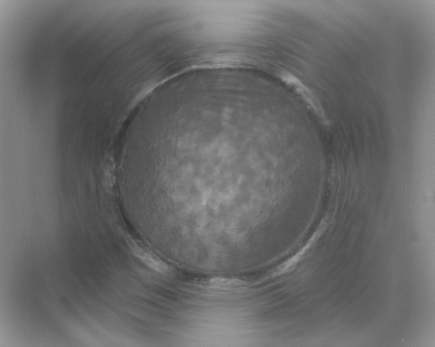 X0000075341449200609292022